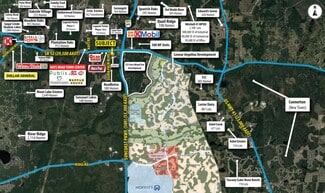 More details for SEC SR 52 & Silver Palm Blvd, Land O' Lakes, FL - Land for Lease
