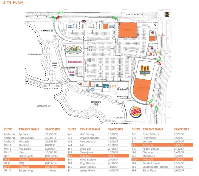 3139 Little Rd, Trinity, FL for sale - Site Plan - Image 1 of 1