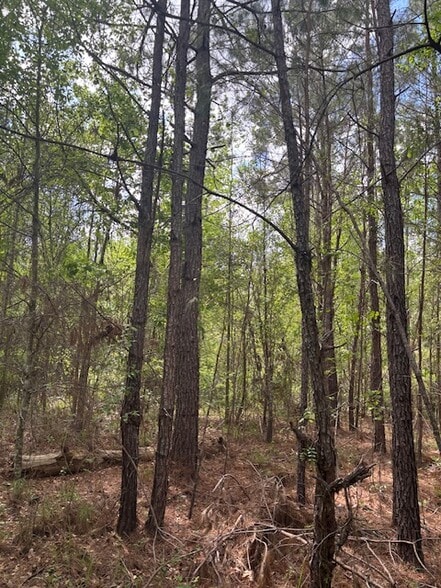 0 New Bethel Church Rd, Fitzgerald, GA for sale - Other - Image 3 of 10