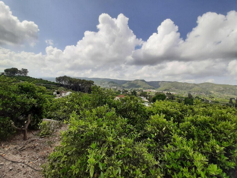 Land in Alzira, Valencia for sale - Primary Photo - Image 2 of 23