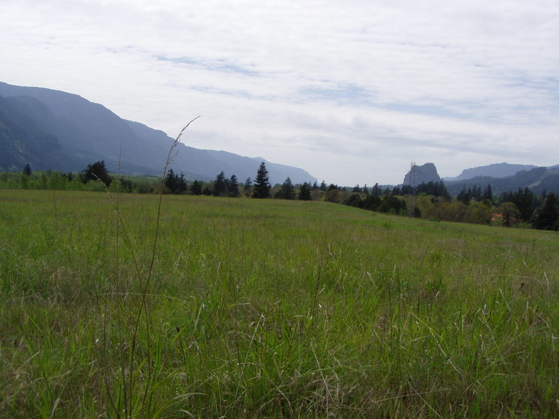 HWY 14, North Bonneville, WA à louer - Autre - Image 2 de 3