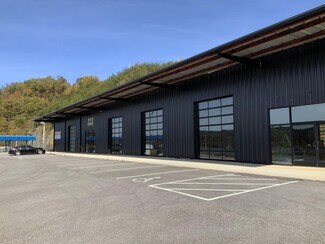 Plus de détails pour 141 Luther Seiber Blvd, Pioneer, TN - Sports et divertissement à vendre