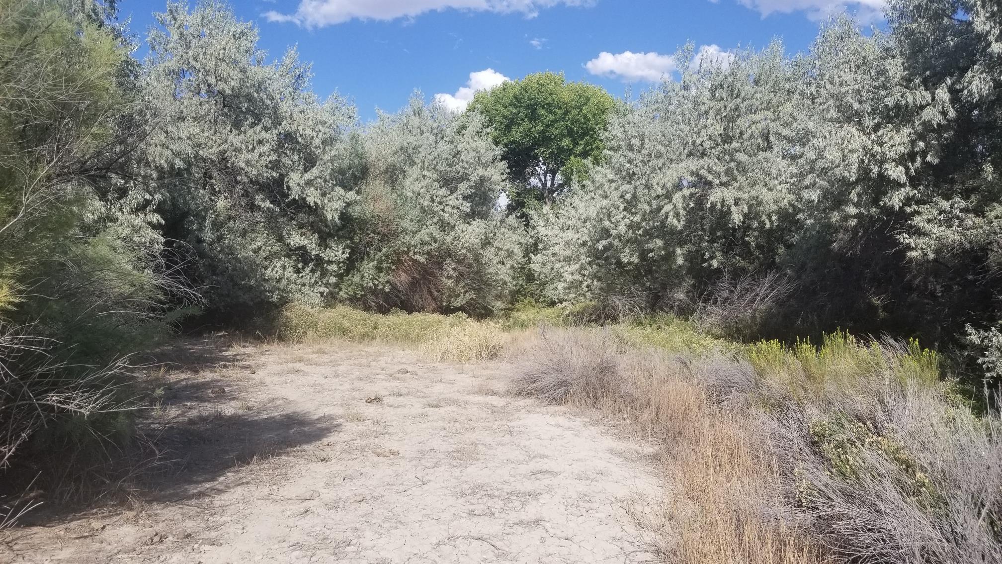 200 Raymond Rd, Lovelock, NV for sale Building Photo- Image 1 of 19