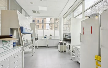 Bureau dans Lyon à louer Photo intérieure- Image 2 de 4