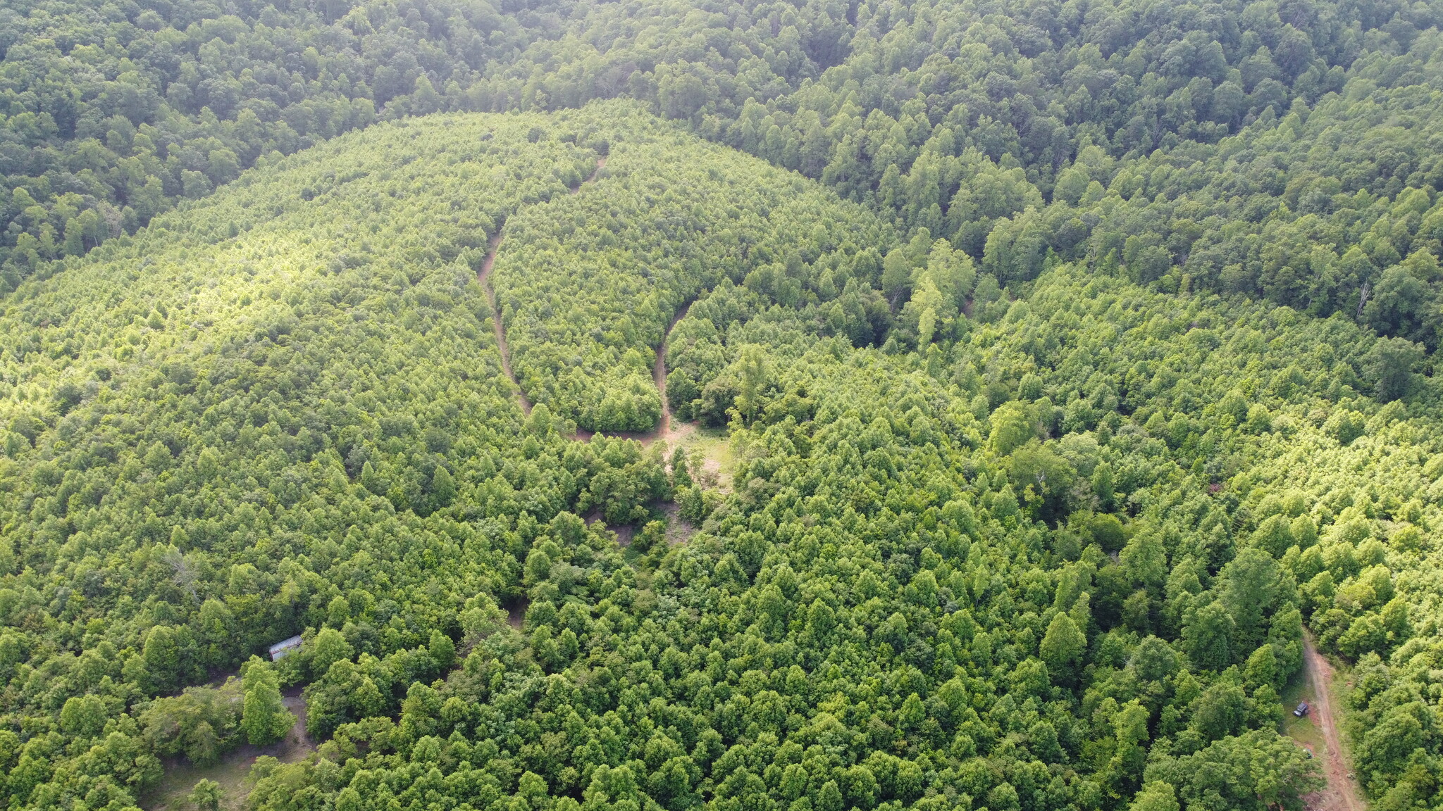 Mountain View Church Rd, Blue Ridge, VA for sale Building Photo- Image 1 of 13