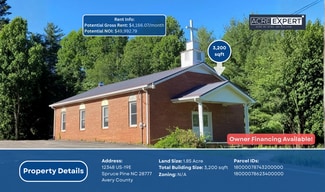 Plus de détails pour 12348 S Us 19e Hwy, Spruce Pine, NC - Spécialité à vendre