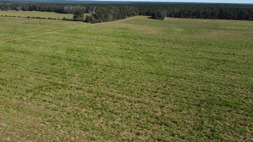 4900 Block 97, Walnut Hill, FL à vendre - Photo du bâtiment - Image 2 de 16