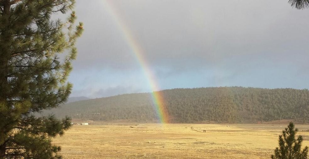 2805 Cedar, Big Bear City, CA à vendre - Photo principale - Image 2 de 2