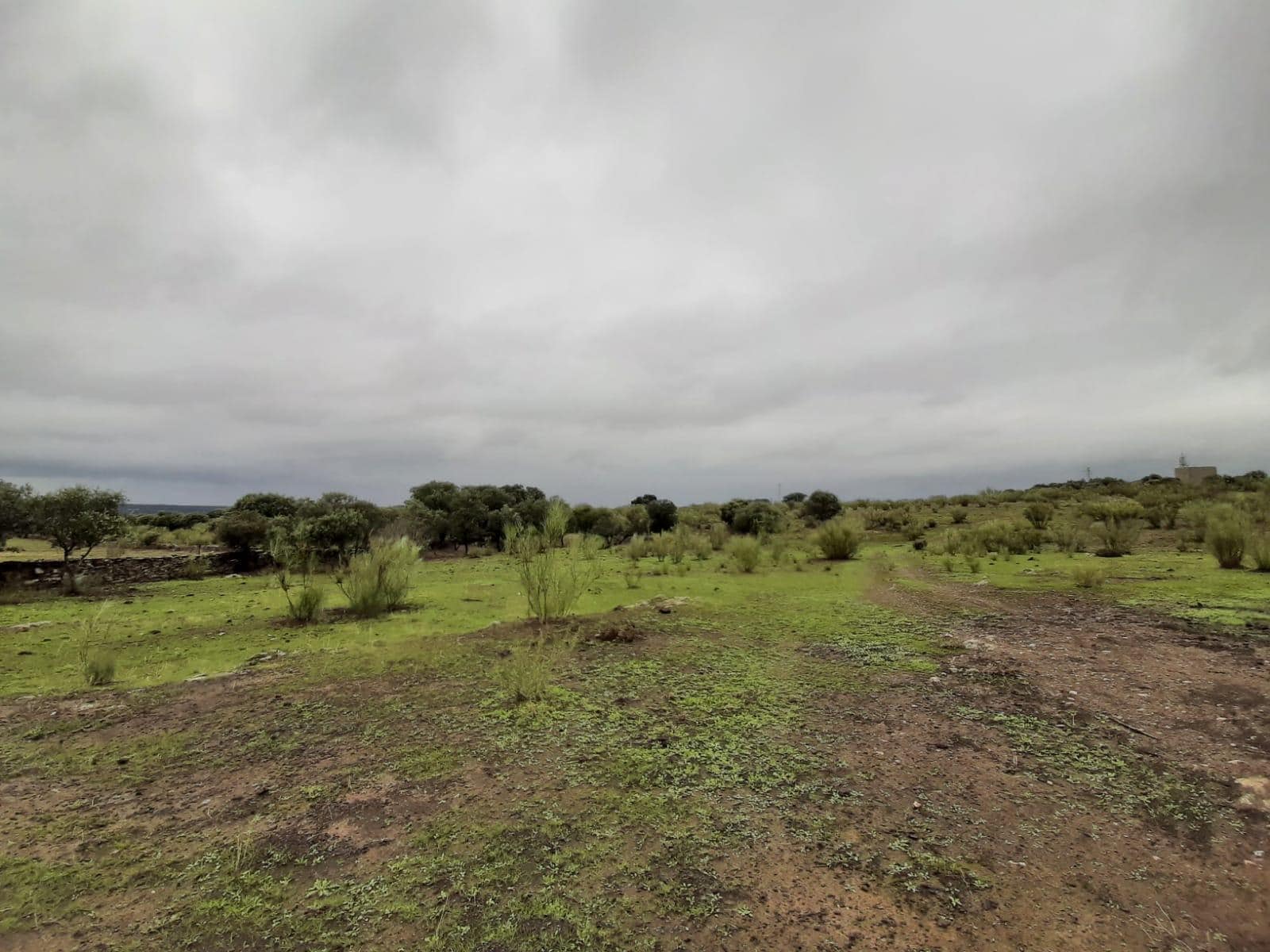 Land in Cáceres, Cáceres for sale Primary Photo- Image 1 of 9