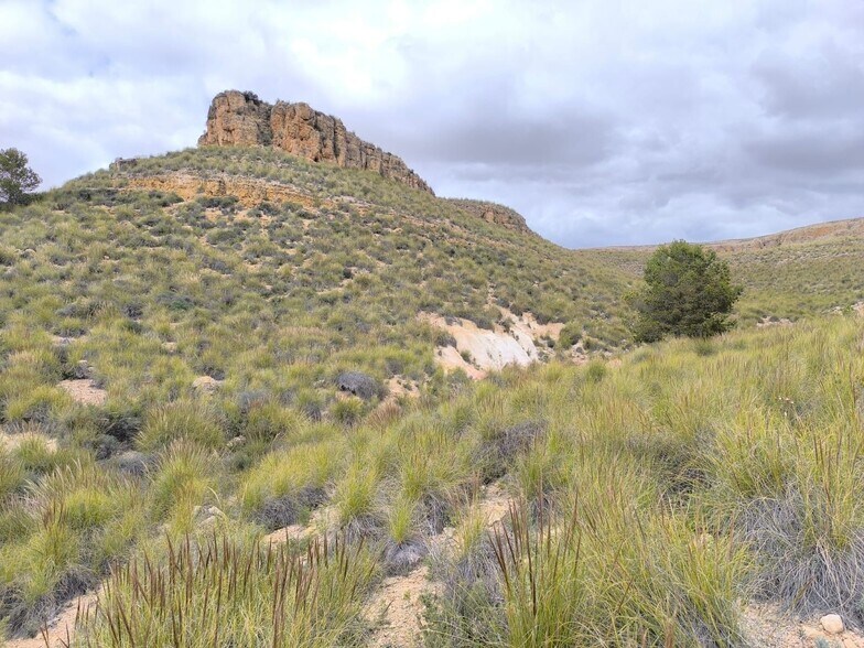 Terrain dans San José, Yecla, Ayuntamiento, MURCIA à vendre - Photo du bâtiment - Image 3 de 8