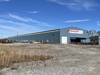 Plus de détails pour 2900 Joe Davis Ind Blvd, Thomasville, AL - Industriel à louer