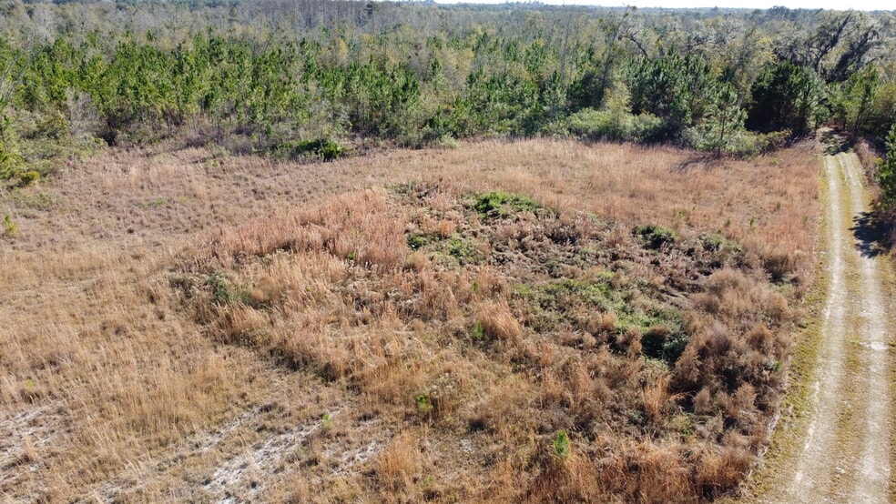 0000 McMillan Rd & Skipper Bridge Rd, Hahira, GA for sale - Aerial - Image 2 of 16