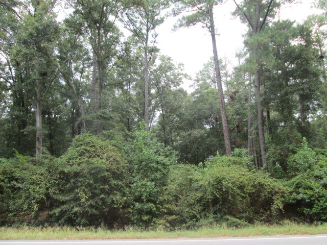 US Highway 280, Cordele, GA for sale Primary Photo- Image 1 of 1