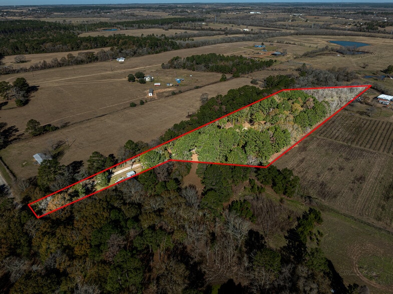 11201 County Road 203, Plantersville, TX à vendre - Photo du bâtiment - Image 2 de 63