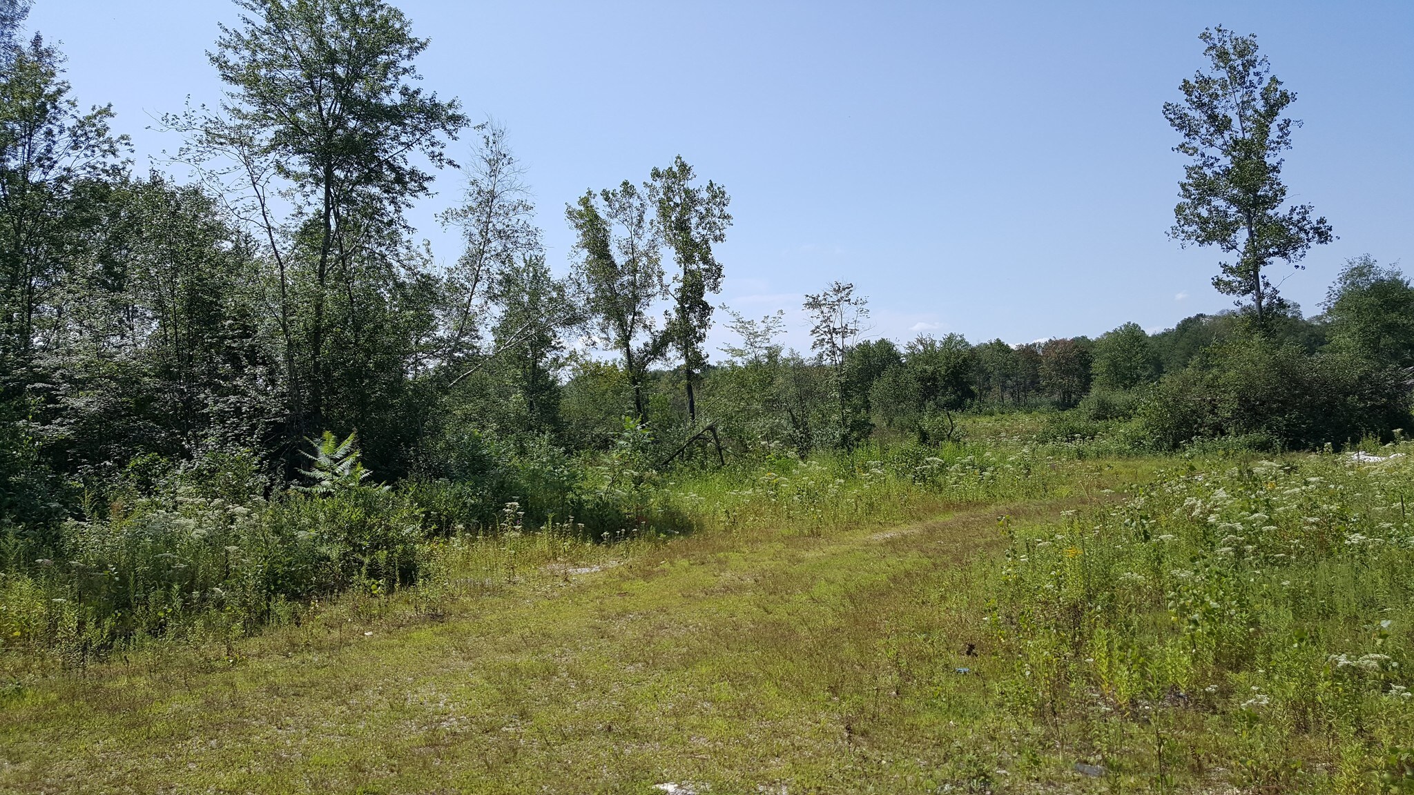 00 Old Amston Rd, Colchester, CT à vendre Photo du bâtiment- Image 1 de 1