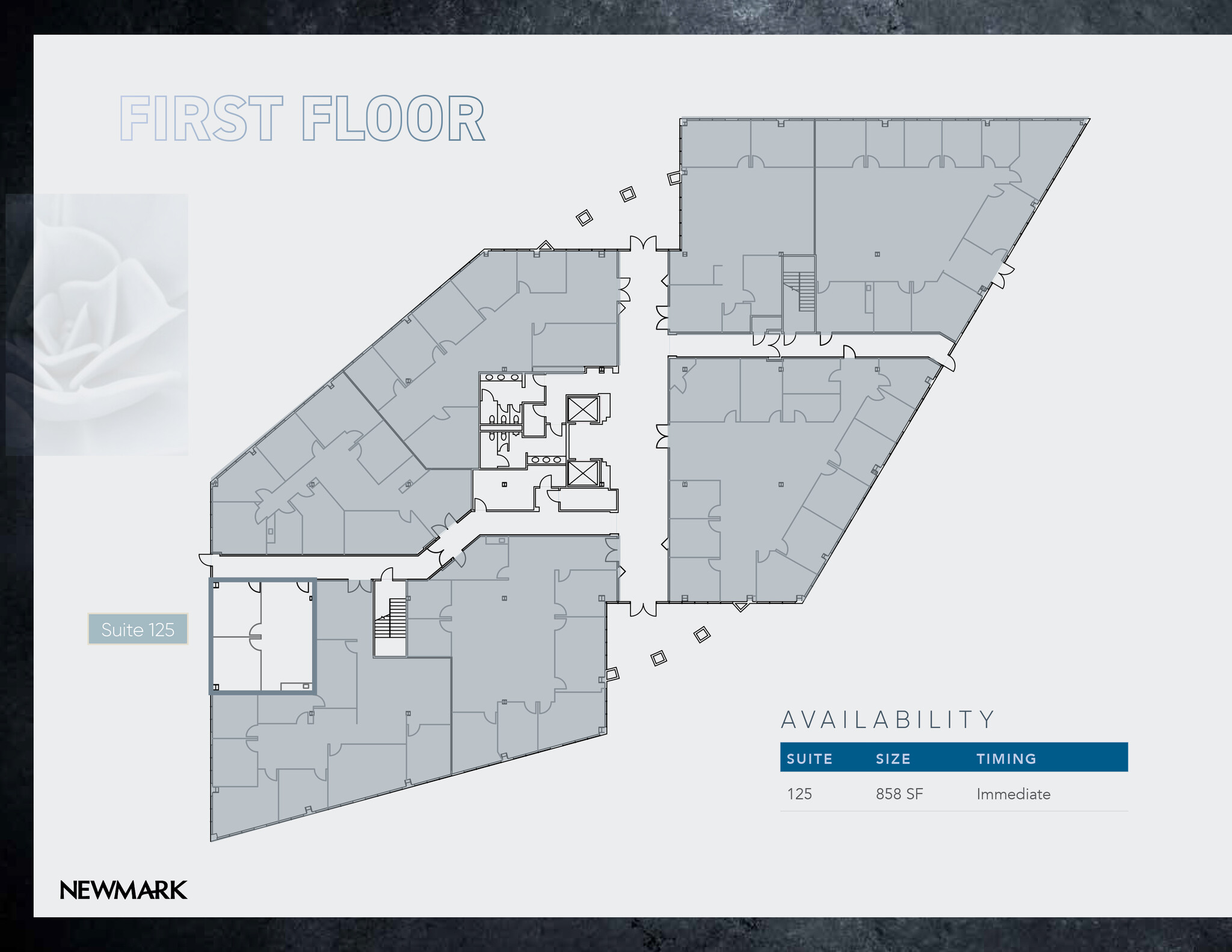 111 Pacifica, Irvine, CA for lease Floor Plan- Image 1 of 1