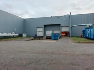 Plus de détails pour Flex à vendre