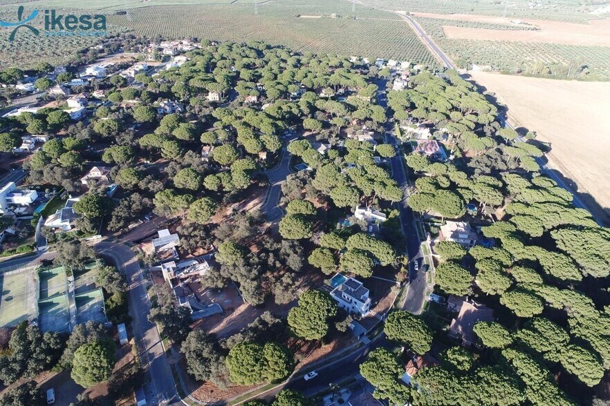 Terrain dans Bollullos de la Mitación, Sevilla à vendre - Photo du bâtiment - Image 1 de 10