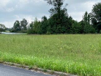 Plus de détails pour HWY 135, New Salisbury, IN - Terrain à vendre