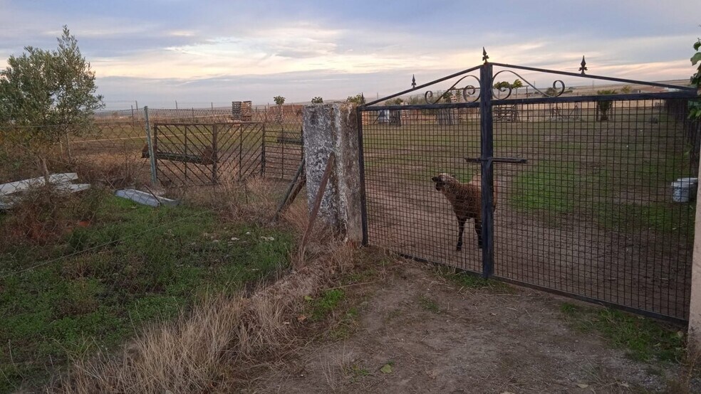 Terrain dans Sierra de Fuentes, Cáceres à vendre - Photo principale - Image 2 de 8