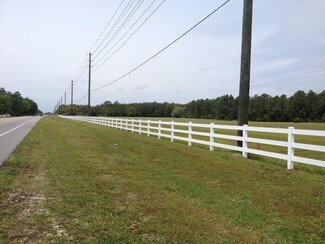 Plus de détails pour State Highway 20, Freeport, FL - Terrain à vendre