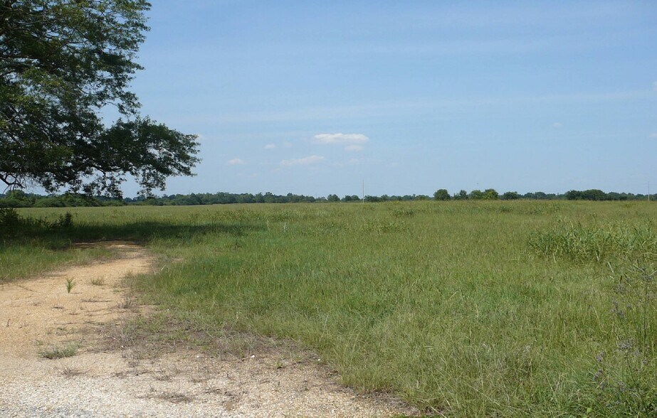 0 Co 54 rd, Lowndesboro, AL for sale - Other - Image 2 of 7