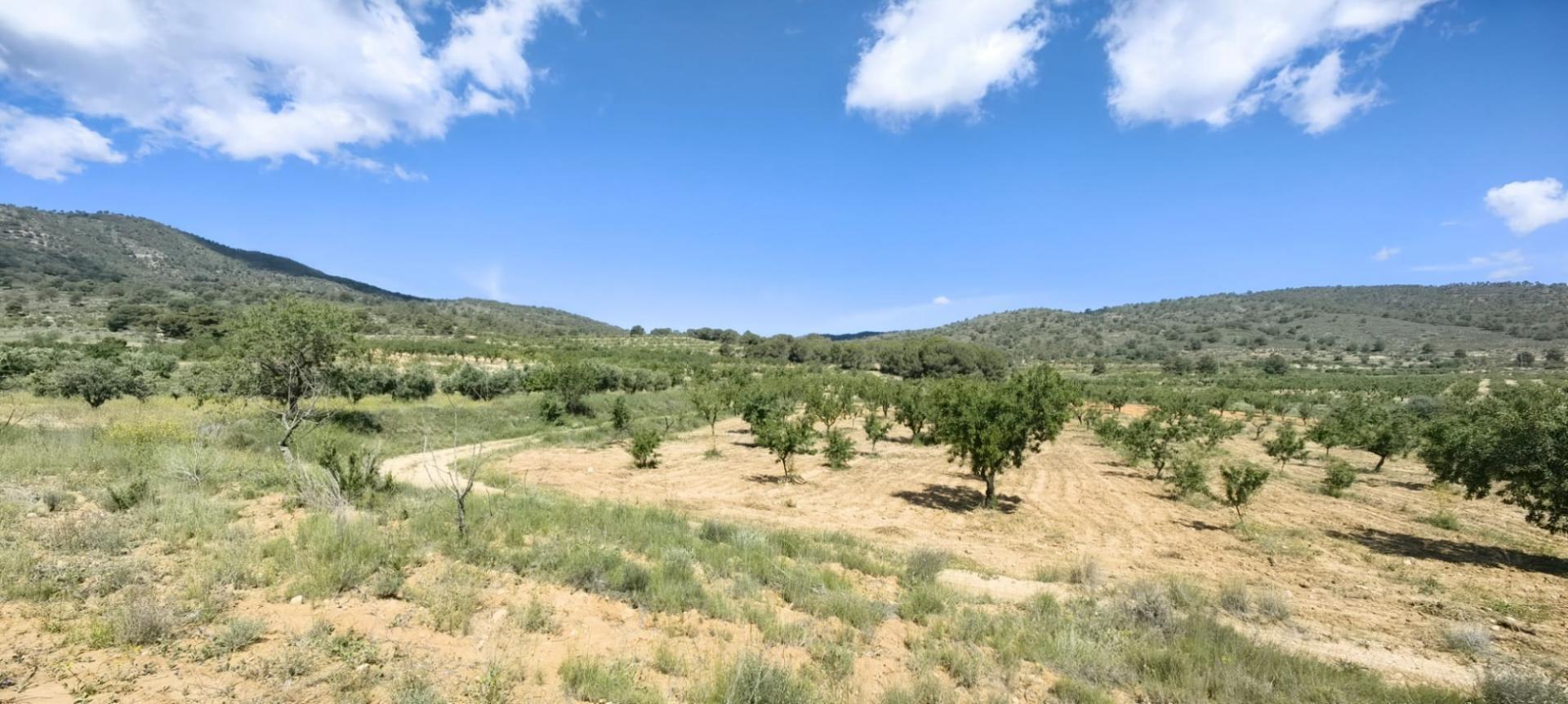 Terrain dans Yecla, Murcia à vendre Aérien- Image 1 de 7