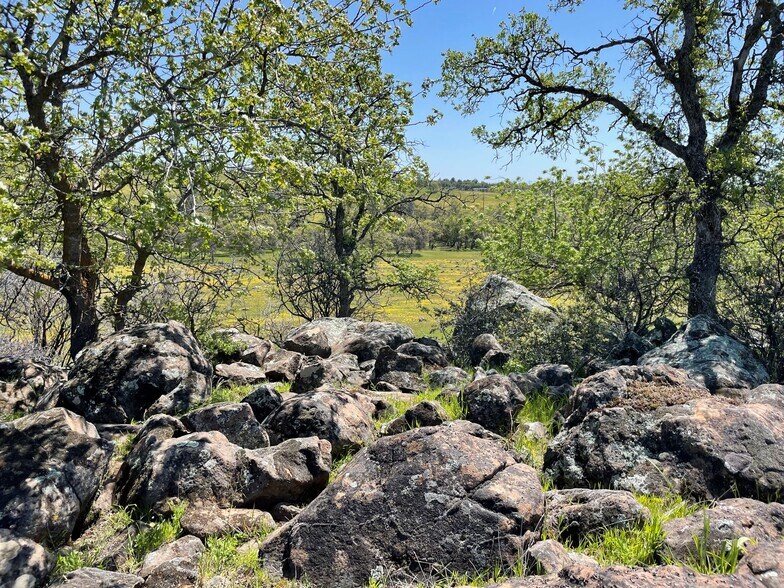 295 Honey Run Road run, Chico, CA à vendre - Autre - Image 2 de 12