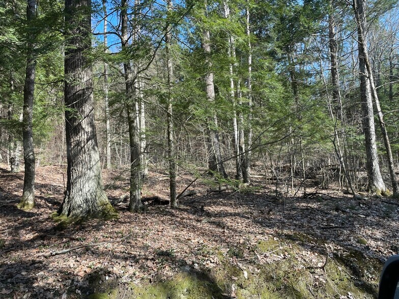 00 Quarry Rd, Chester, VT for sale - Building Photo - Image 2 of 10