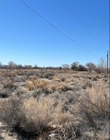 Plus de détails pour Highland Dr, Fallon, NV - Terrain à vendre
