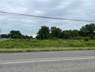 Plus de détails pour 0 Angola Road, Coldwater, MI - Terrain à vendre