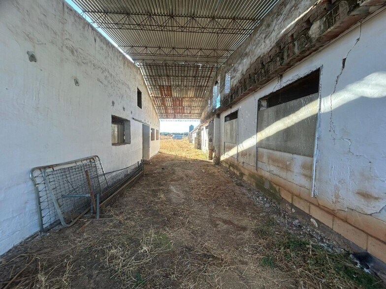 Industriel dans Polán, Toledo à vendre - Photo du bâtiment - Image 3 de 14