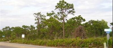 12212 Stringfellow Rd, Bokeelia, FL for sale - Primary Photo - Image 1 of 1