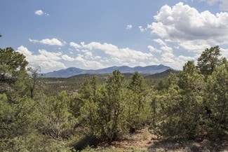More details for 1250 W. Airport Rd, Payson, AZ - Land for Sale