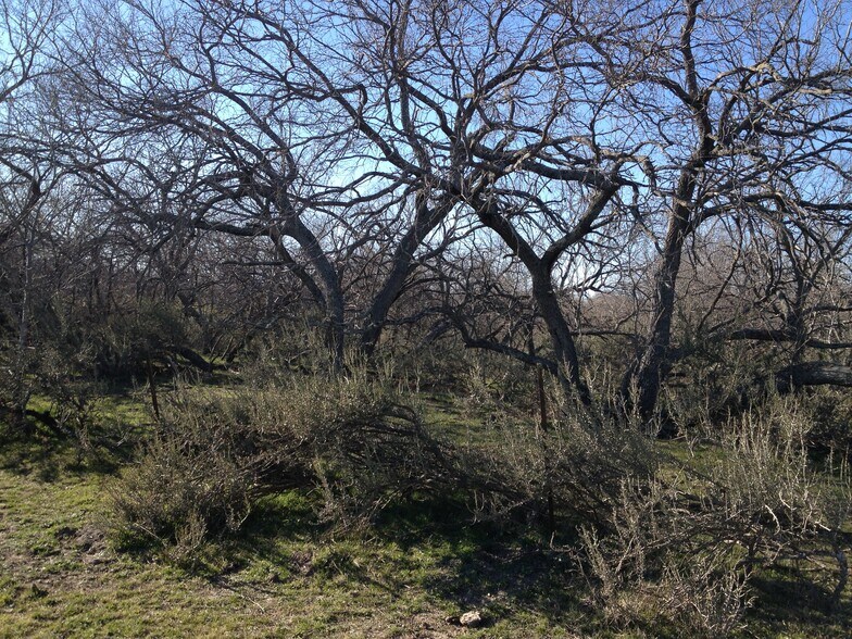 CR4110 CR 4110, Blooming Grove, TX à vendre - Autre - Image 2 de 3