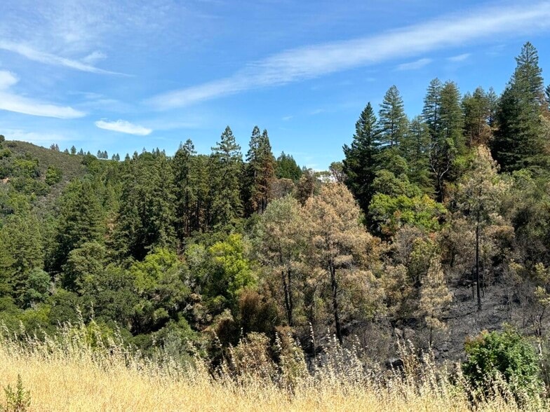 4901 Stewarts Point Skaggs Springs Road, Geyserville, CA à vendre - Photo du bâtiment - Image 3 de 9