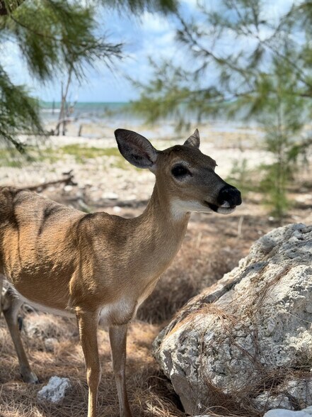 Barnicle Bed and Breakfast portefeuille de 2 propriétés à vendre sur LoopNet.ca - Photo du bâtiment - Image 2 de 58