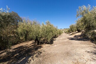 Plus de détails pour Poligono, 2 Parcela 276 Y, Campotéjar - Terrain à vendre