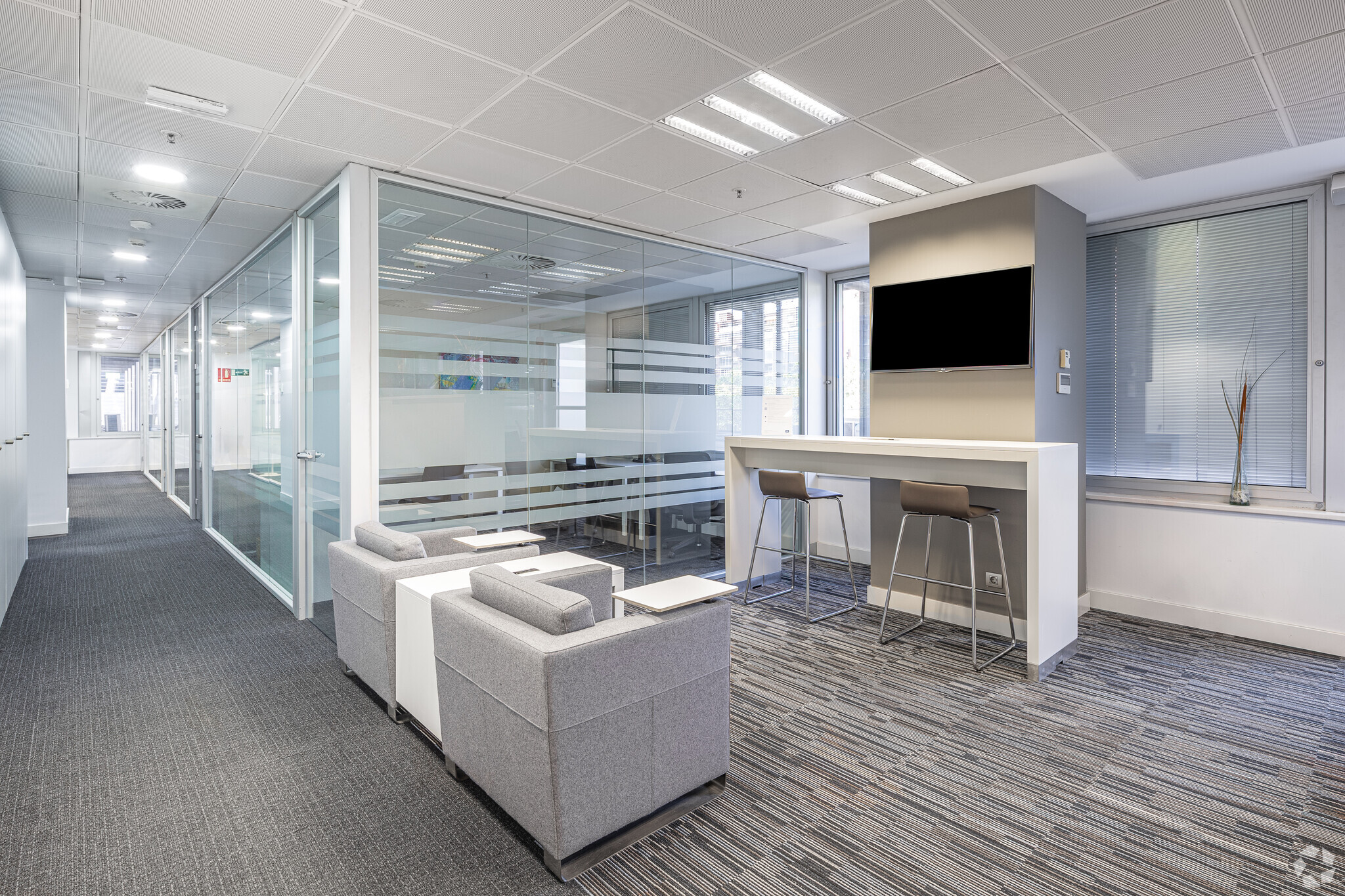 Paseo Castellana, 93, Madrid, Madrid à louer Photo intérieure- Image 1 de 16