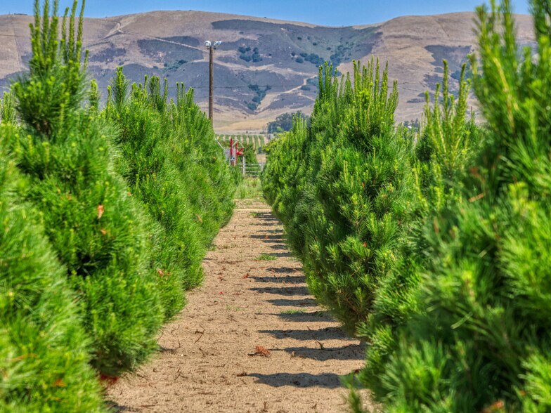 424 Bermuda Pl, Nipomo, CA for sale - Building Photo - Image 2 of 3