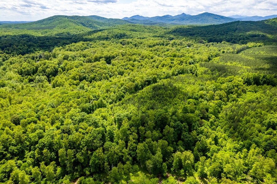 tbd Green Creek Rd, Schuyler, VA for sale - Primary Photo - Image 1 of 26