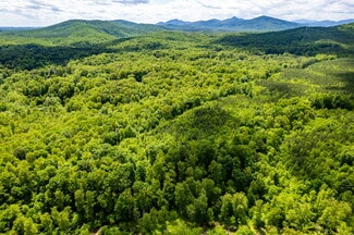 More details for tbd Green Creek Rd, Schuyler, VA - Land for Sale