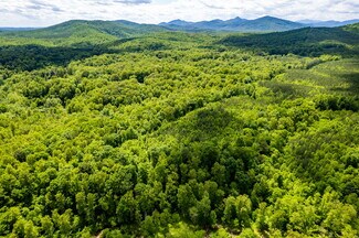 Plus de détails pour tbd Green Creek Rd, Schuyler, VA - Terrain à vendre