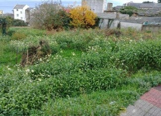 More details for Land for Sale
