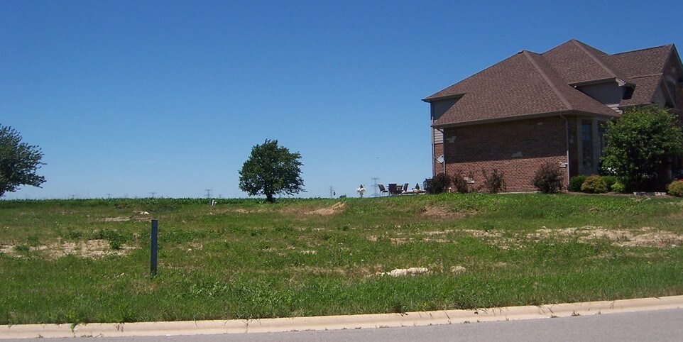 22276 Elise Blvd, Frankfort, IL à vendre - Photo du bâtiment - Image 1 de 8