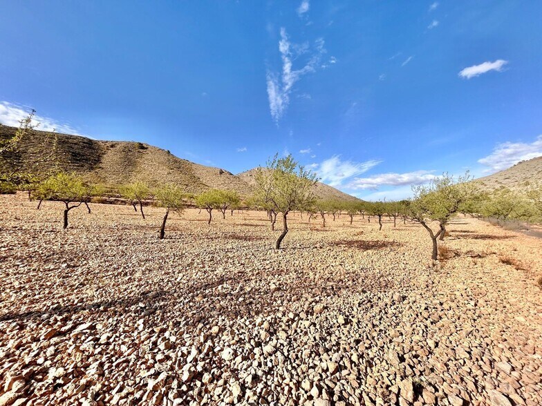 Terrain dans Orihuela, Alicante à vendre - Aérien - Image 2 de 5