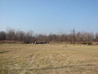 6130 Wayne Rd, Romulus, MI à vendre - Photo du bâtiment - Image 3 de 4