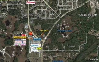 Plus de détails pour 110 Howland Blvd, Osteen, FL - Terrain à vendre