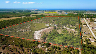 Plus de détails pour 17050 Burnt Store Rd, Punta Gorda, FL - Terrain à vendre