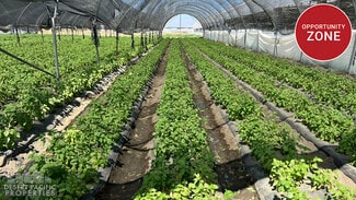 More details for 78100 Harrison St, Thermal, CA - Land for Sale